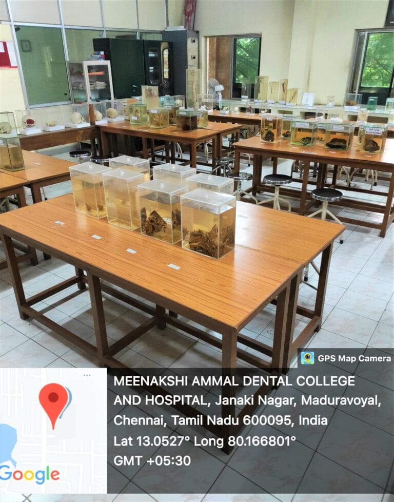 Anatomy Museum