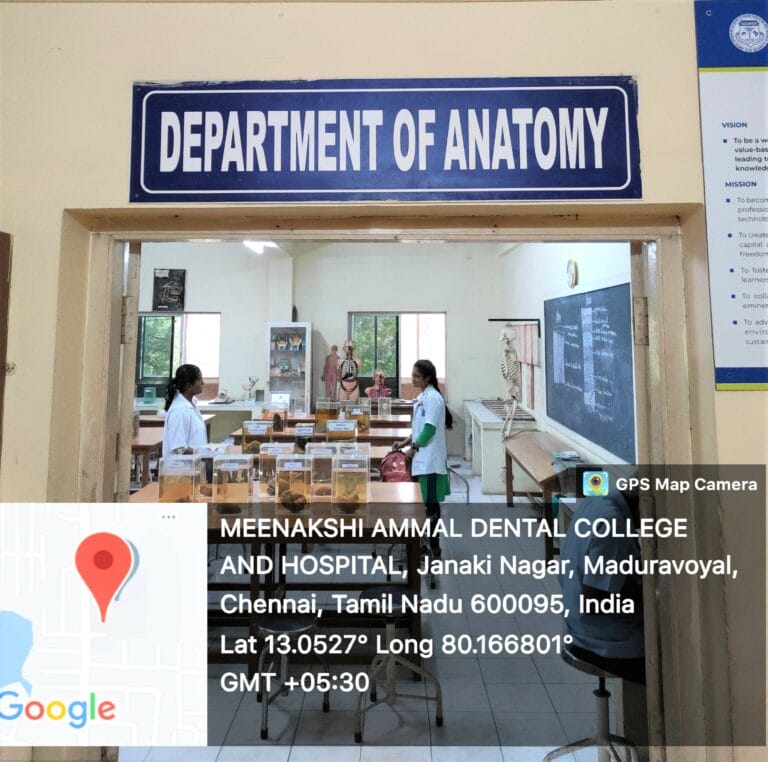 Anatomy Museum