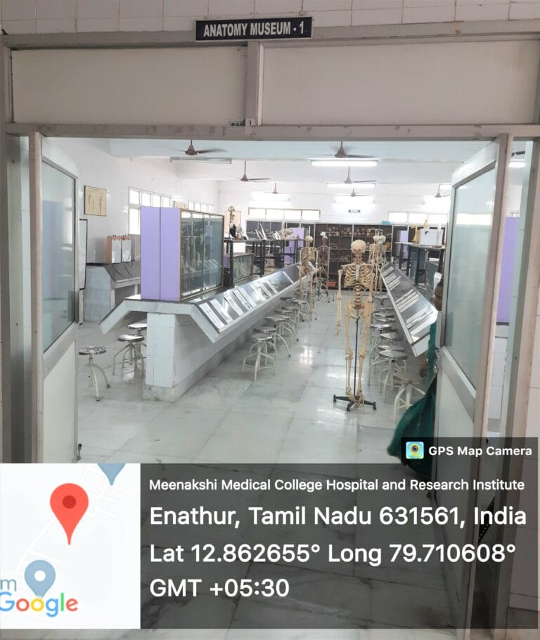 Anatomy Museum
