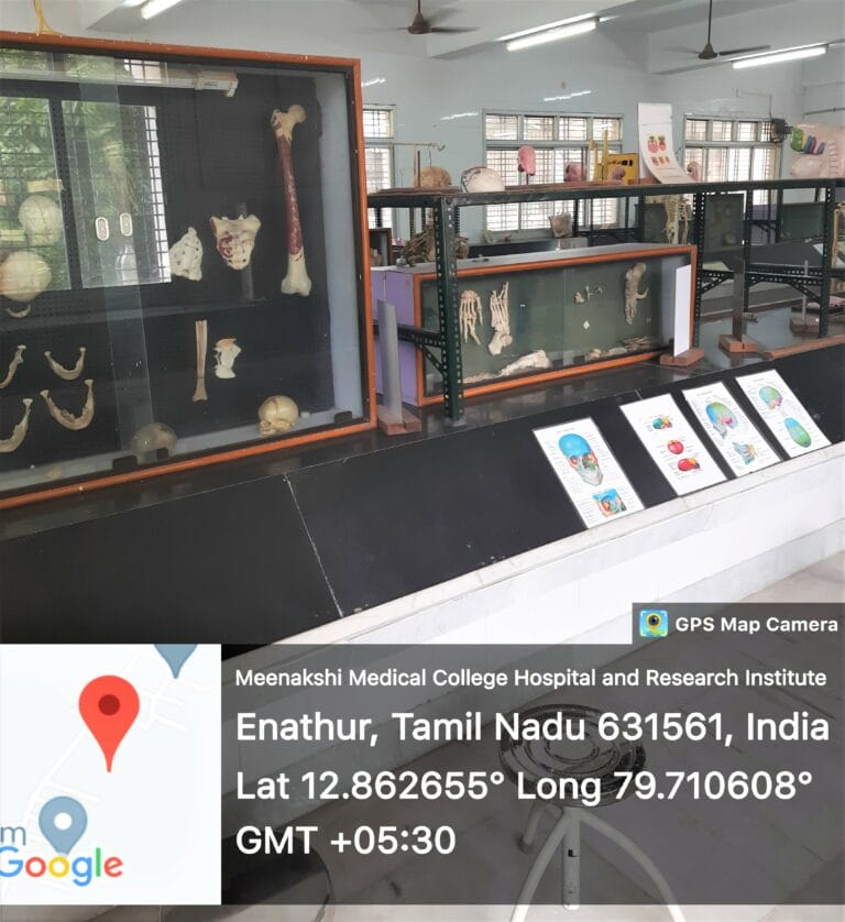 Anatomy Museum
