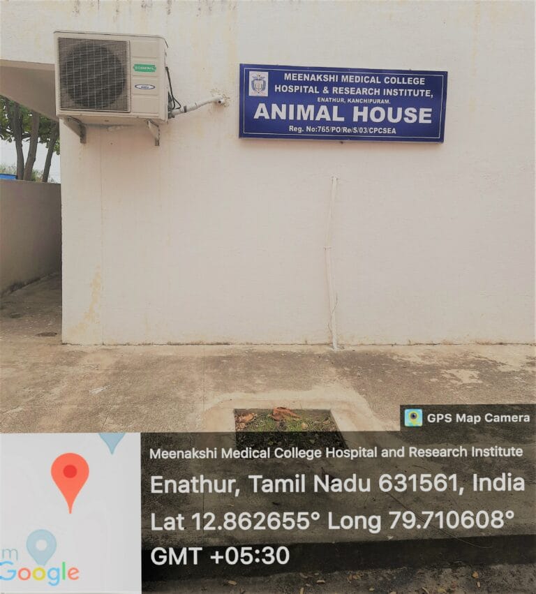 Animal House