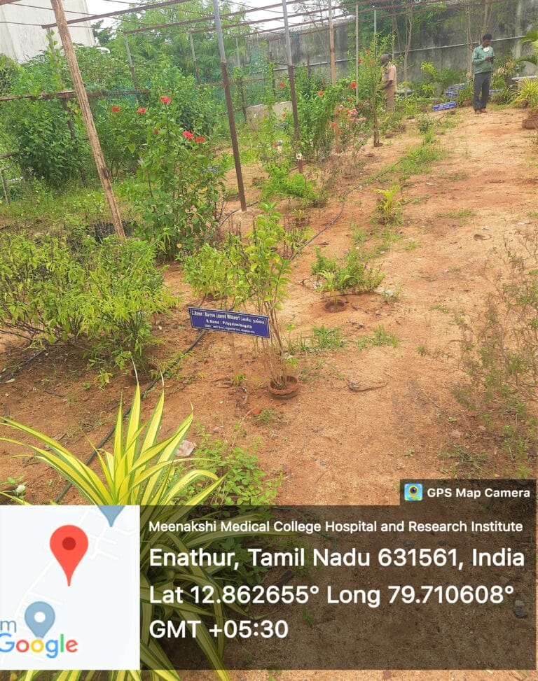 Herbal Garden