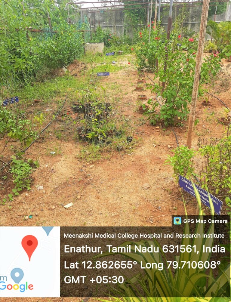 Herbal Garden